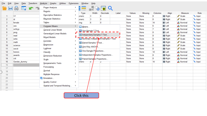 independent t-test in SPSS