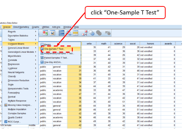 Click "One-Sample T Test"