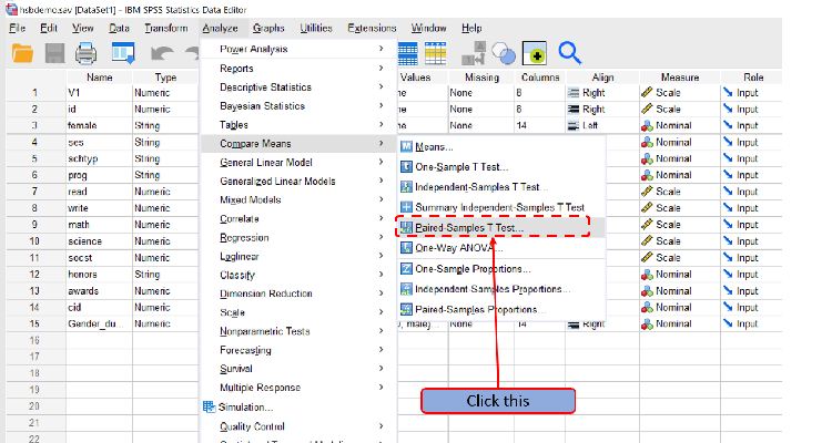 Click "Paired Sample T-Test"