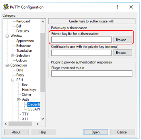 phpMyAdmin for WordPress on Google Cloud - Browse SSH key file in PuTTY