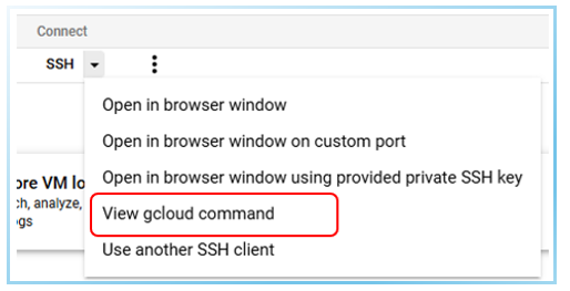 Access WordPress files on Google Cloud - View gcloud command via SSH on Google Cloud