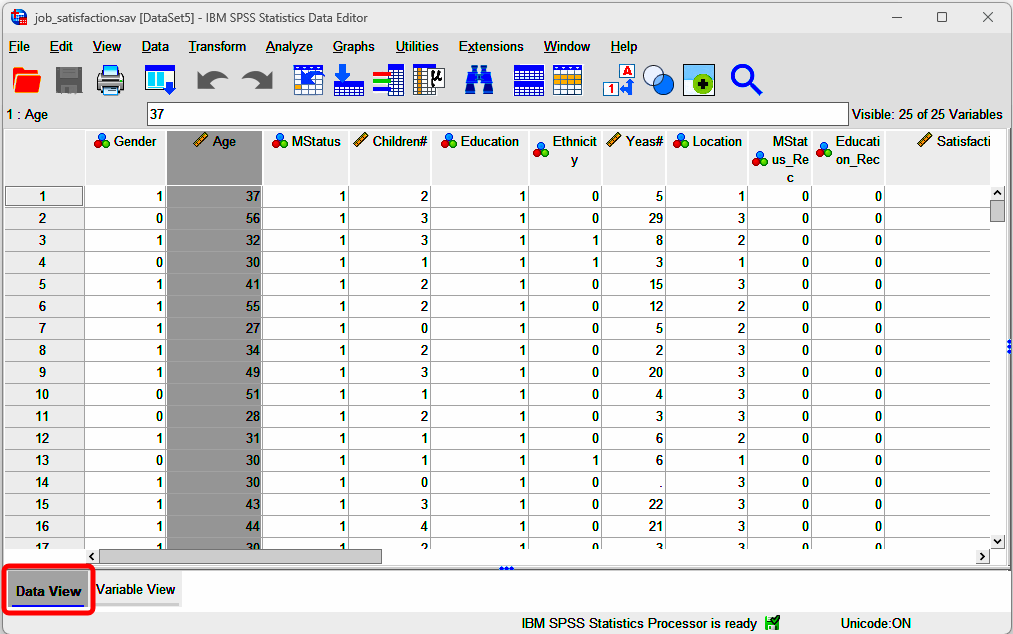 SPSS: Data View