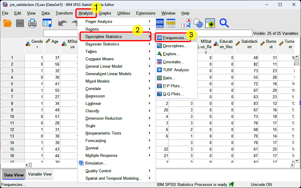 SPSS Descriptive Statistics example - steps of doing frequency analysis - Steps 1 2 and 3