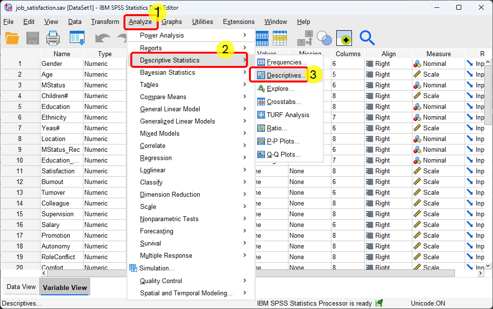 SPSS Descriptive Statistics example - steps of doing mean analysis for age- Steps 1 2 and 3