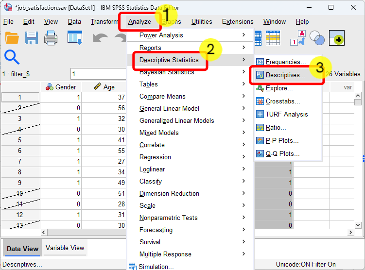 SPSS selected cases - mean - steps 1, 2, and 3