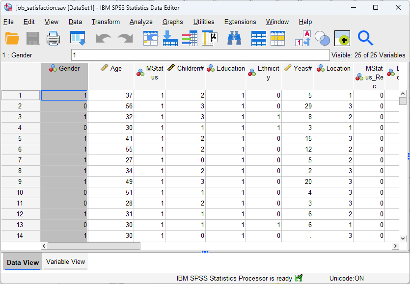 SPSS - job satisfaction dataset