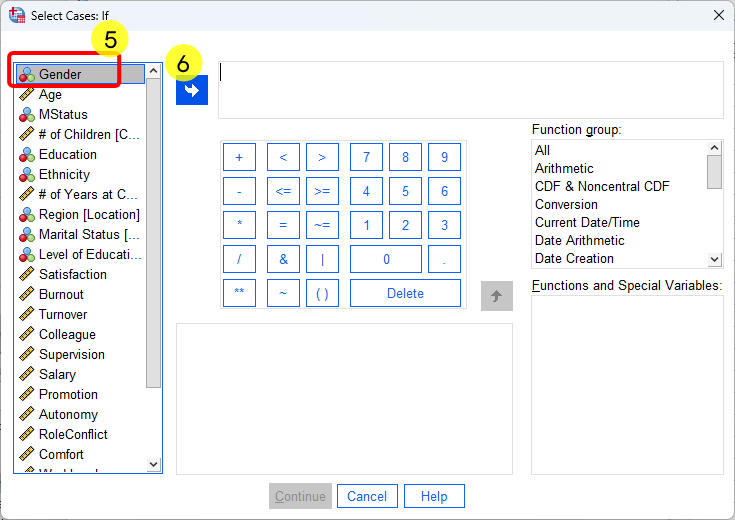 SPSS select cases - steps 5 and 6