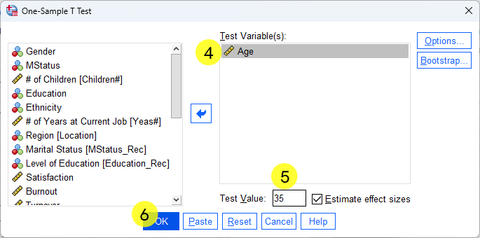 SPSS selected cases - one sample t-test - steps 4, 5, and 6