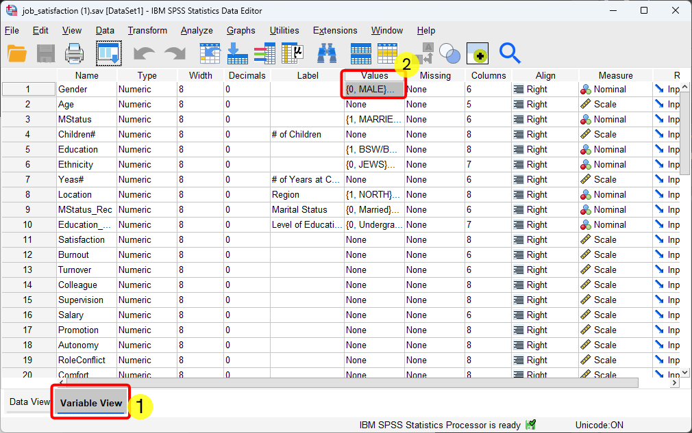 SPSS Variable view - click to see the meanings of numbers for variables